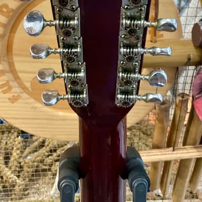 Alvarez 5021 12 String Acoustic Guitar image 7