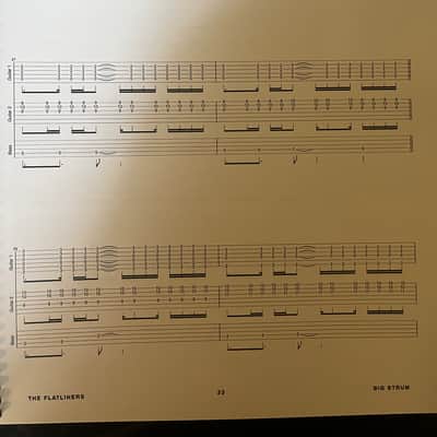 The Flatliners - New Ruin - Guitar and Bass tab / tablature Book image 5