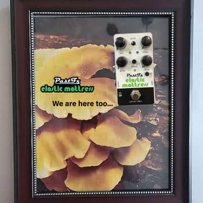 PastFx Elastic Mattress Flanger / Chorus - has an electric feel that even your mistress will love! image 3