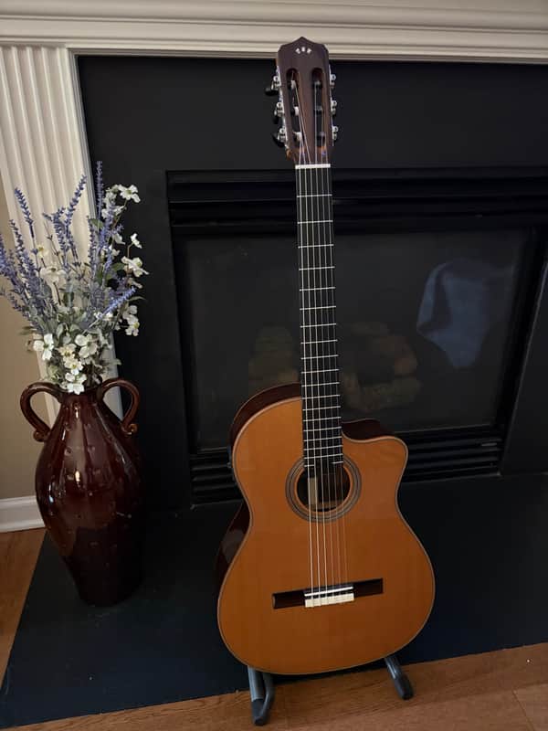 Cordoba Fusion Orchestra 12 Cutaway Nylon String 2026 - Glossy Solid Cedar Top, Rosewood Sides and Back image 1