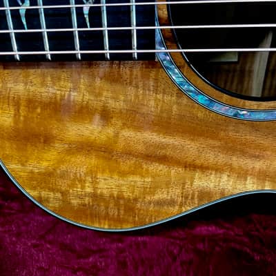 Taylor Spring Limited Edition Grand Concert Acoustic-Electric Guitar 2010 - Natural image 13