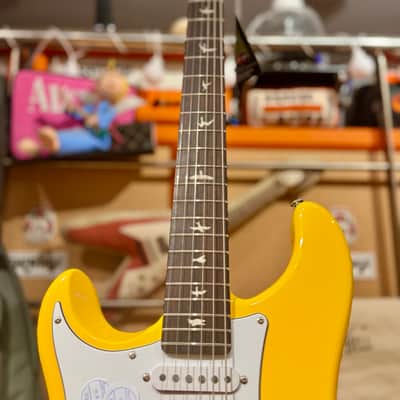 PRS LEFTY DANDY LION  RW JOHN MAYER SIGNATURE SILVER SKY  Super Exclusive image 13