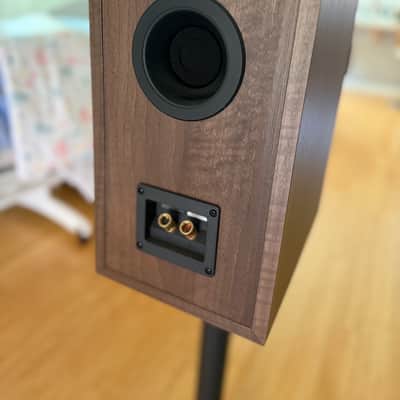 KEF Q350 (2024) - Walnut + Grills + Stands image 6