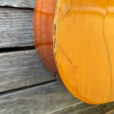 Folk Acoustic Guitar Clarissa Polverini Eko FiestaP1 P2 P10 image 5