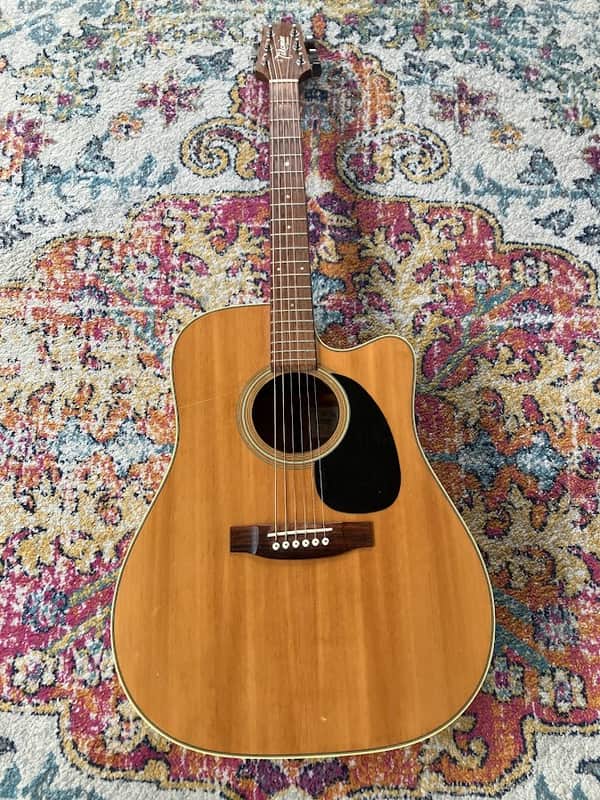 Takamine Dragon Series (ED-21C N) image 1