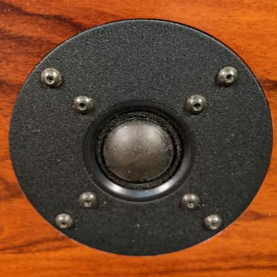 Vienna Acoustics Maestro Center Speaker With MCM Legs image 7