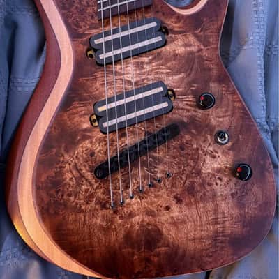 Agile 7 string - Wood gloss image 1