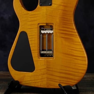 HAMER GCAE2323 MOD Amber Natural (04/03) image 5
