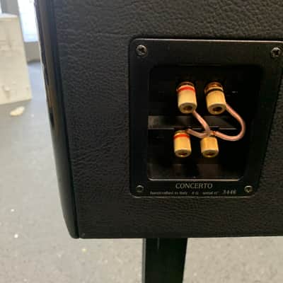 Sonus Faber Concerto w/ Stands image 9