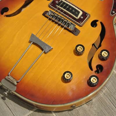 1970's Aria Diamond Electric Hollowbody - Made in Japan - Univox Coily image 4