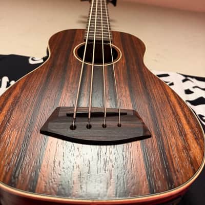 Kala UBASS with Round Wound strings image 2