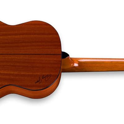 Zager Travel Guitar 2022 Mahogany image 3