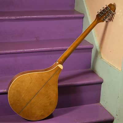 2010s Trinity College TM-375 Irish Bouzouki (As-new! w/OHSC! Fresh Setup, Ready to Go) image 7