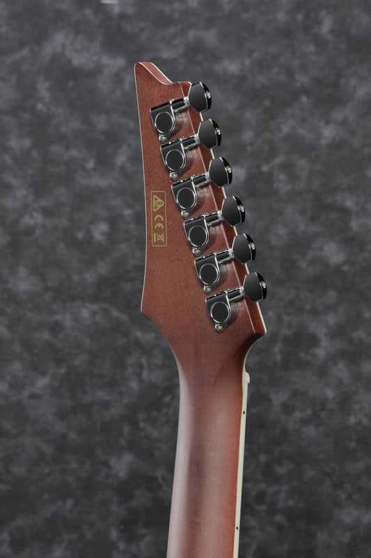 Ibanez ALT30 Altstar Spruce / Sapele Auditorium image 9