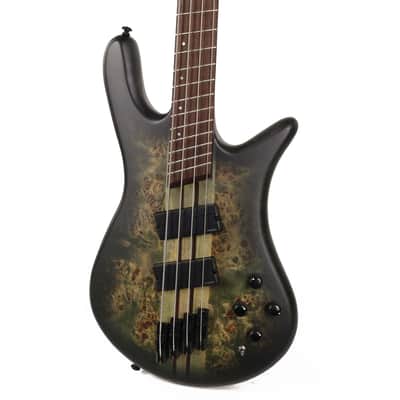 Spector NS Dimension 4-String Multi-Scale Bass Haunted Moss 2025 image 5