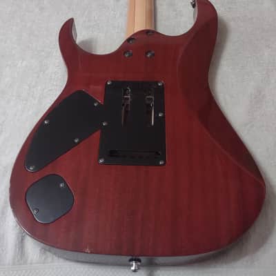 Ibanez Prestige RG3120F-DAM Electric Guitar - Dark Amber image 17
