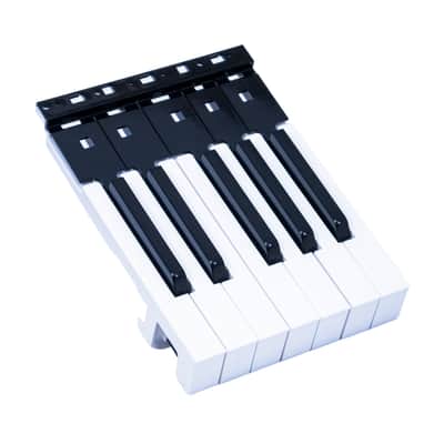 Korg 12-Note Key Assembly for LP-180, SP-170, SP-170S, SP-280 image 2