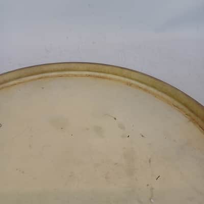 Rogers 15"Daisy Brand White Calf Batter Skin Snare/Tom Drum Head Vintage 50s USA image 7