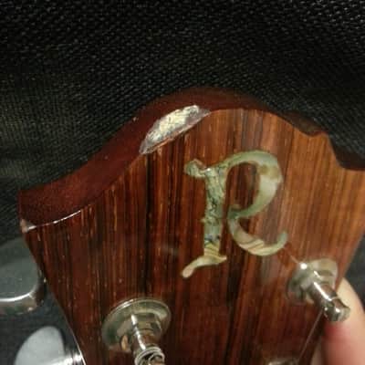 BC Rich Seagull 1975 Mahogany Electric Guitar image 7