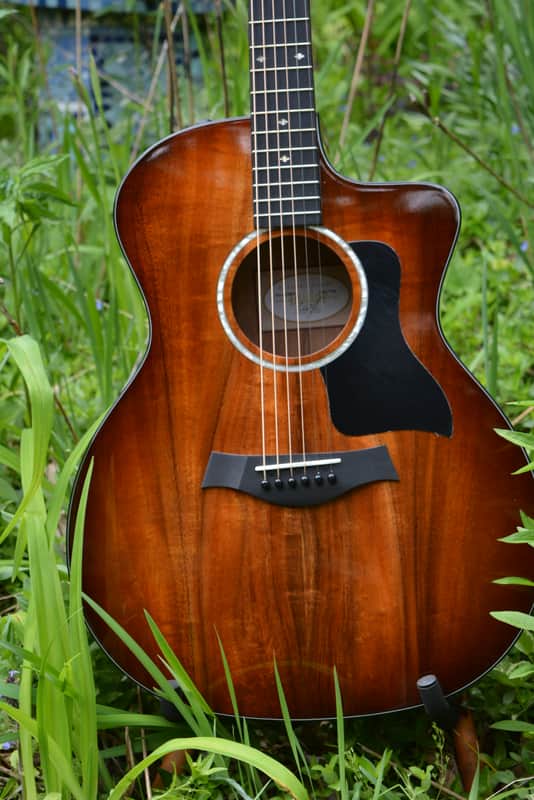 2021 Taylor 224CE K DLX: $1599.99 - Unbeatable Savings!