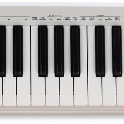 Roland A-49 49-key Keyboard Controller - White image 1