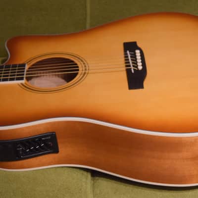 Nashville Guitar Works D10CE EB 2023 - Edgeburst image 4
