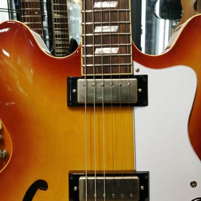 EPIPHONE RIVIERA E360TD Electric Guitar Unique Design image 6