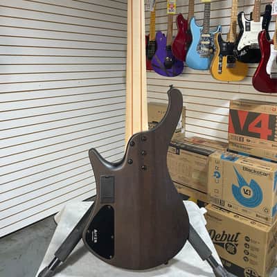 Ibanez Bass Workshop EHB605 Electric Bass Guitar - Walnut Flat & PLEK*D #857 image 12