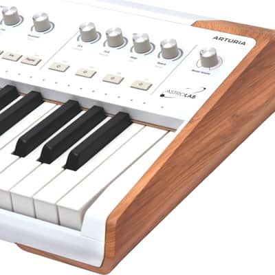 Arturia AstroLab 61-Key Stage Keyboard, White image 6