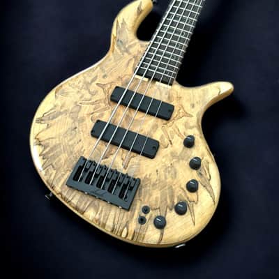 Elrick Basses EVO Gold 5 - Ambrosia Maple 2024 - Satin image 3