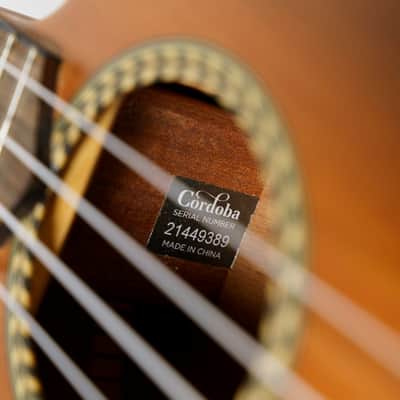 Cordoba 20TM-CE Acoustic Electric Tenor Ukulele 2021 - Natural image 8