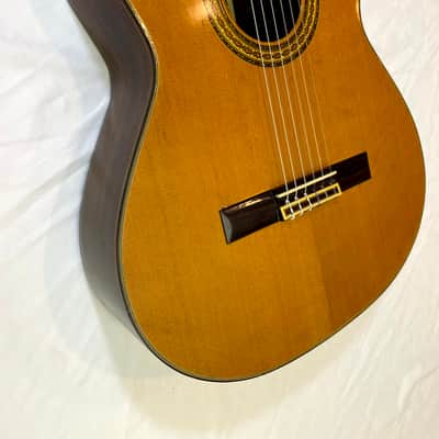 Dauphin 25 Classical Guitar - 1970's-1980's - Japan image 4