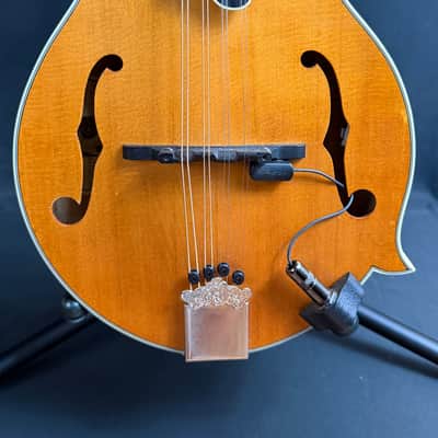 Epiphone MM-50E Professional F-Style Mandolin Blonde Natural w/ LR Baggs Pickup image 2
