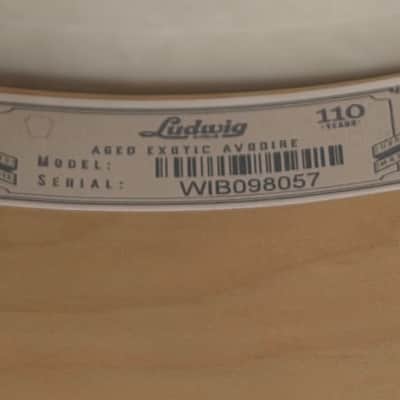 Ludwig 110th anniversary snare drum usa 5.5 by 14 2019 - Natural AGED EXOTIC AVODIRE image 11