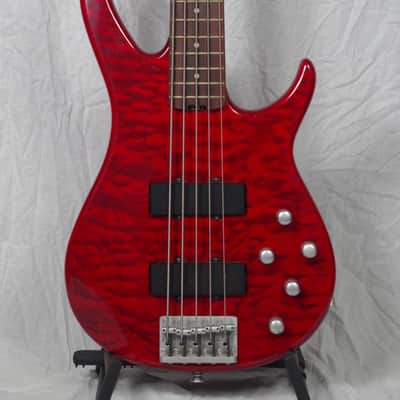 Peavey Fury 5 String Bass image 1
