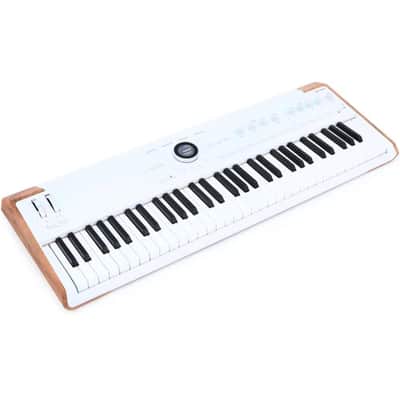 Arturia AstroLab Avant-garde 61-Key Stage Keyboard Bundle w/ 2-Pack Pig Hog PMID06 6ft MIDI Cable, Liquid Audio Sustain Pedal and Liquid Audio Polishing Cloth image 3