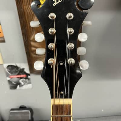 USED "The Loar" LM-520 Mandolin modified, see description image 4