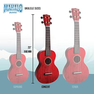 Mahalo, 4-String Ukulele, Transparent Wine Red, Concert (MH2TWR) image 4