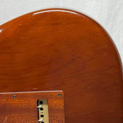 Godin Passion Series RG.2 rg2 rg-2 Guitar 2012 image 10