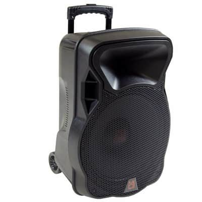 PRO 4000W Bluetooth DSP FM Radio USB Portable PA DJ KARAOKE Speaker image 7