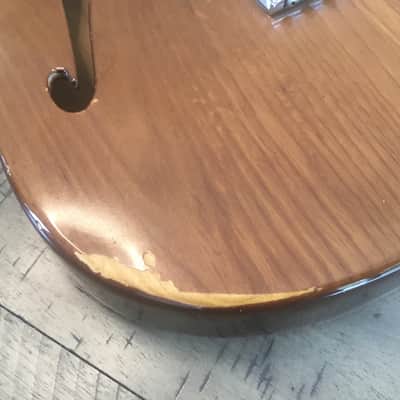 Fender Telecaster Thinline 1973 - 1978 - Walnut (Mocha) image 15
