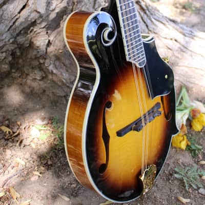 Washburn M3SWK Bluegrass F-Style Mandolin with Hardshell Case- Sunburst image 3