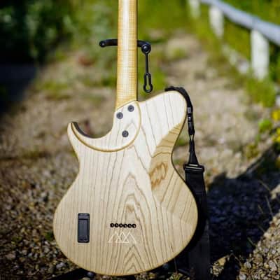 Vergnaud Bariton Djent'o'Caster 2020 (Grey Smoke Purple) image 15