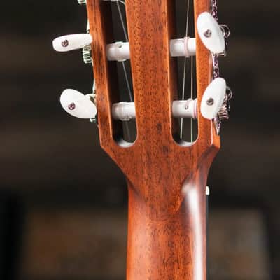 Taylor 314ce-N Grand Auditorium Nylon Acoustic/Electric Guitar with Hardshell Case image 6