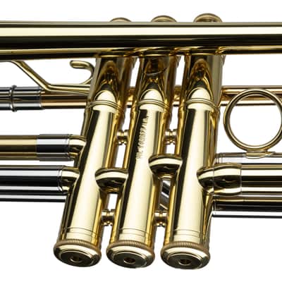 Carol Brass Bb-Trompete CTR5250L-YSS-Bb-L - Bb Trumpet image 3