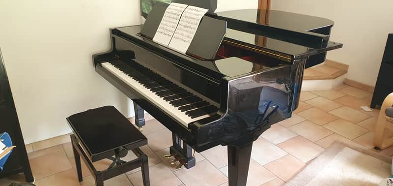 VEND PIANO  RAMEAU DEMI QUEUE image 1