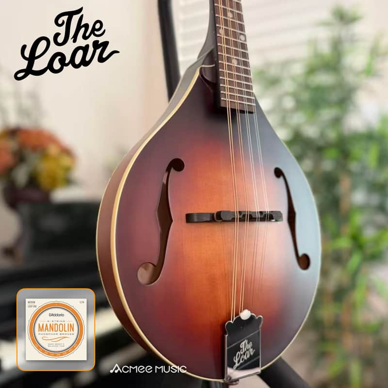The Loar LM-110 Honey Creek A-Style Mandolin Brownburst + FREE D'addario EJ74 Strings image 1