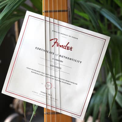 FENDER "American Professional Classic Stratocaster Fade Firemist Gold" GIGBAG, 3, 46 KG image 14
