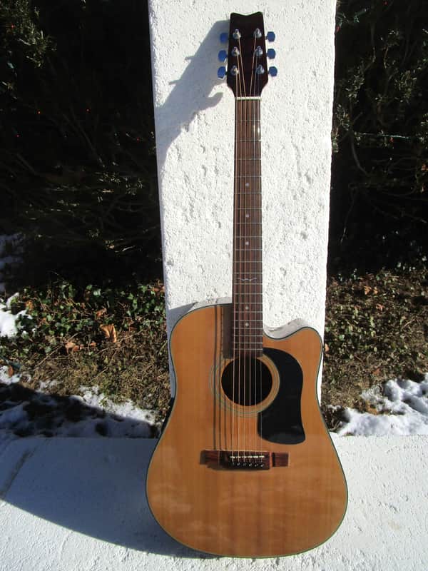 Washburn D-12 CE/N Dreadnought Guitar, 1990, Korea, Cutaway Electric image 1