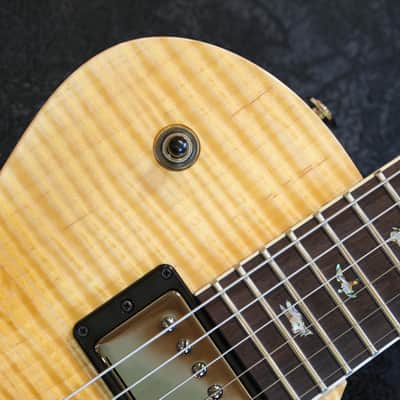 Minty! 2025 PRS Single Cut 594 Wood Library Limited Edition 40th Anniversary Brazillian Electric Guitar Artist Flame + OHSC image 5